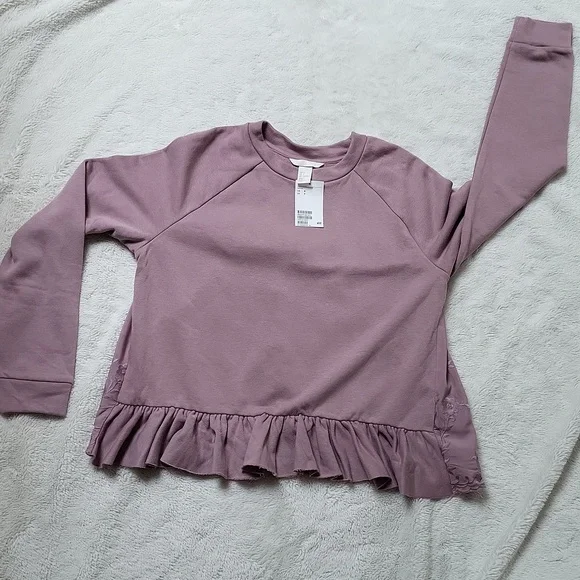 NWT! Dusty Pink Ruffle Sweatshirt with Embroidery! - Picture 9 of 10